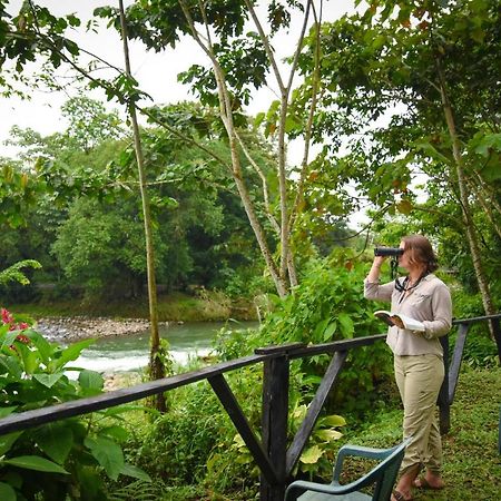 Chilamate Rainforest Eco Retreat Villa Puerto Viejo de Sarapiqui Exterior photo