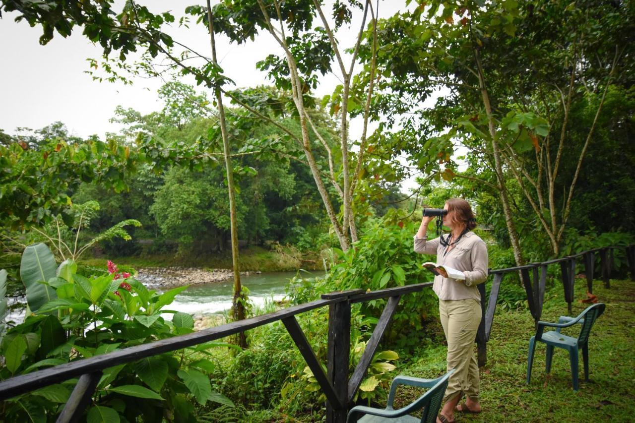 Chilamate Rainforest Eco Retreat Villa Puerto Viejo de Sarapiqui Exterior photo